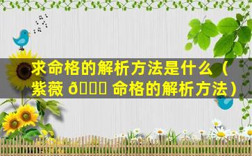 求命格的解析方法是什么（紫薇 🐟 命格的解析方法）